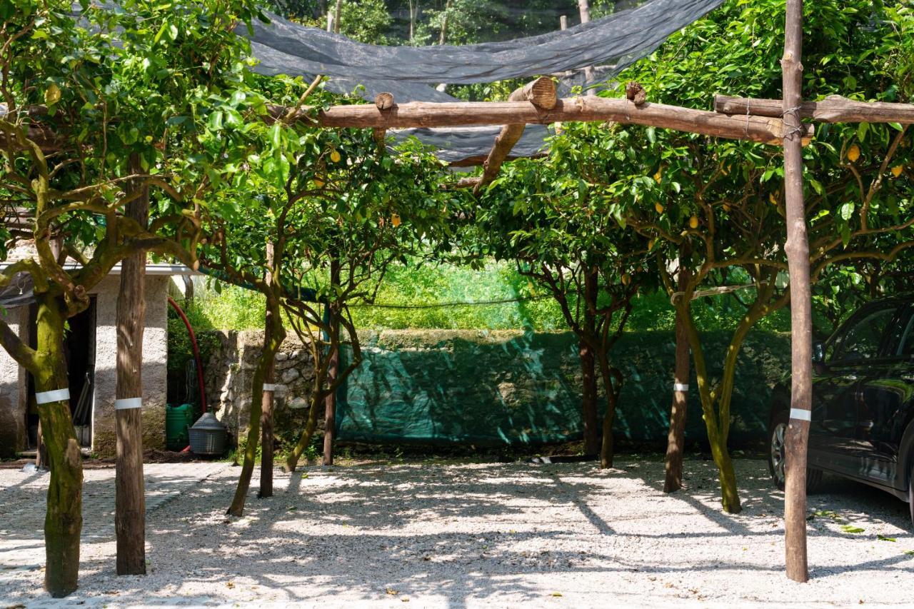Montagnella Relax Bed & Breakfast Maiori Dış mekan fotoğraf